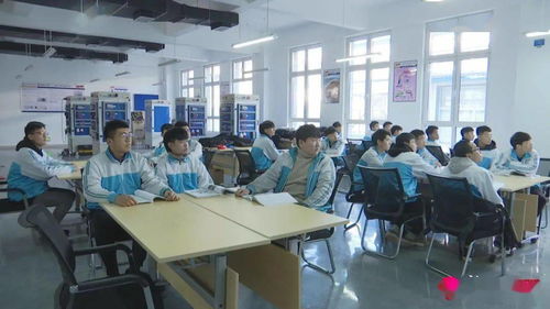 新泰市 深化職業(yè)教育創(chuàng)新，賦能區(qū)域經(jīng)濟高質(zhì)量發(fā)展