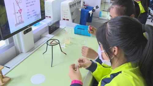 長白山 菜單式課后服務(wù)賦能“雙減”落地，教育咨詢精準(zhǔn)護航